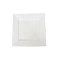 Assiette dégustation carrée