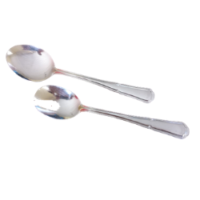 Couverts à salade Eternum